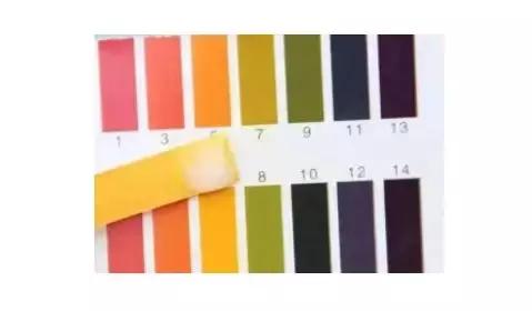 种草祛痘沐浴露,同款香水沐浴露哪个好闻点