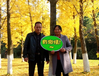 chr自驾游攻略,c-hr自驾