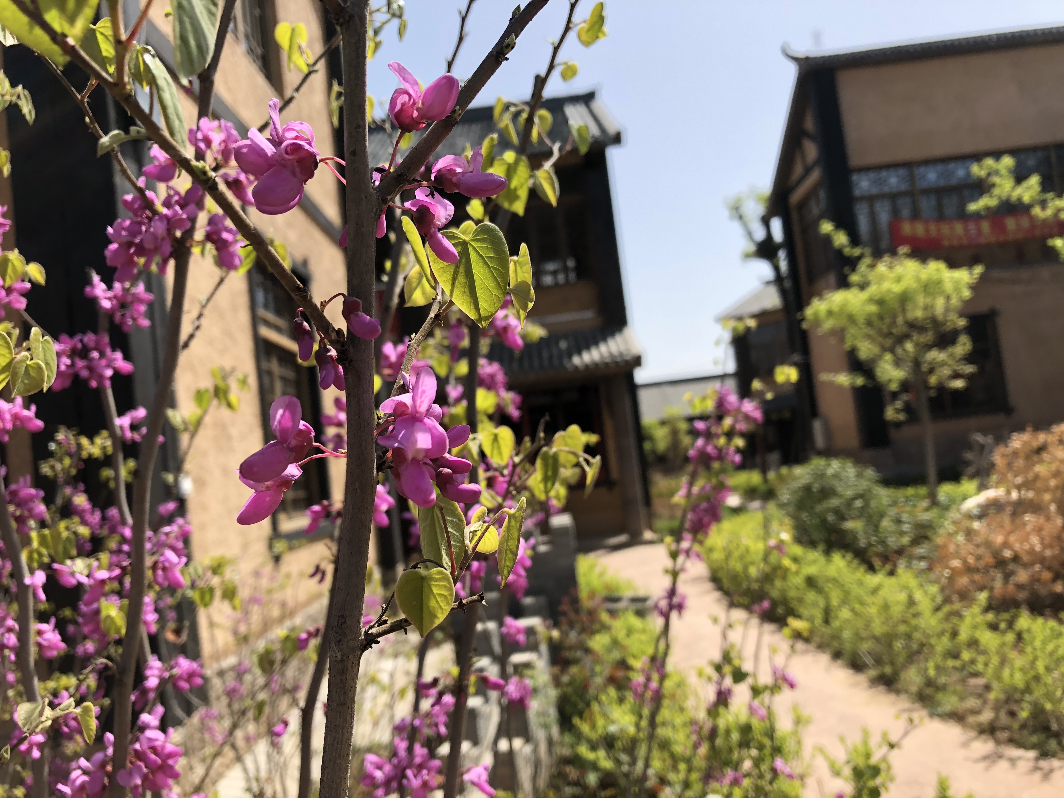 灵山话祝福,灵山祝福