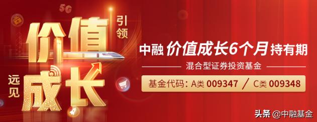 中融创业板两年定期开放混合基金,中融价值成长6个月a基金净值
