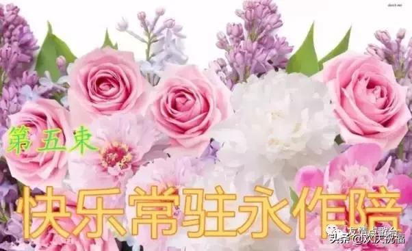 把最美的祝福送给情人节的你,5月21日情人节祝福语