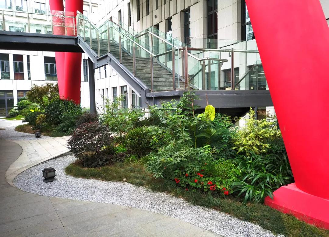 沪上“花园式”工地办公是怎样的体验？来看看这个白玉兰奖工程吧