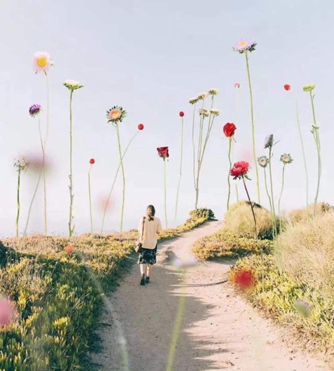 农村创业失败的生意怎么做,在农村十万元怎样创业最稳定