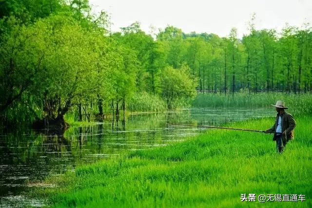 无锡夏天避暑的地方,无锡附近暑假避暑旅游好去处