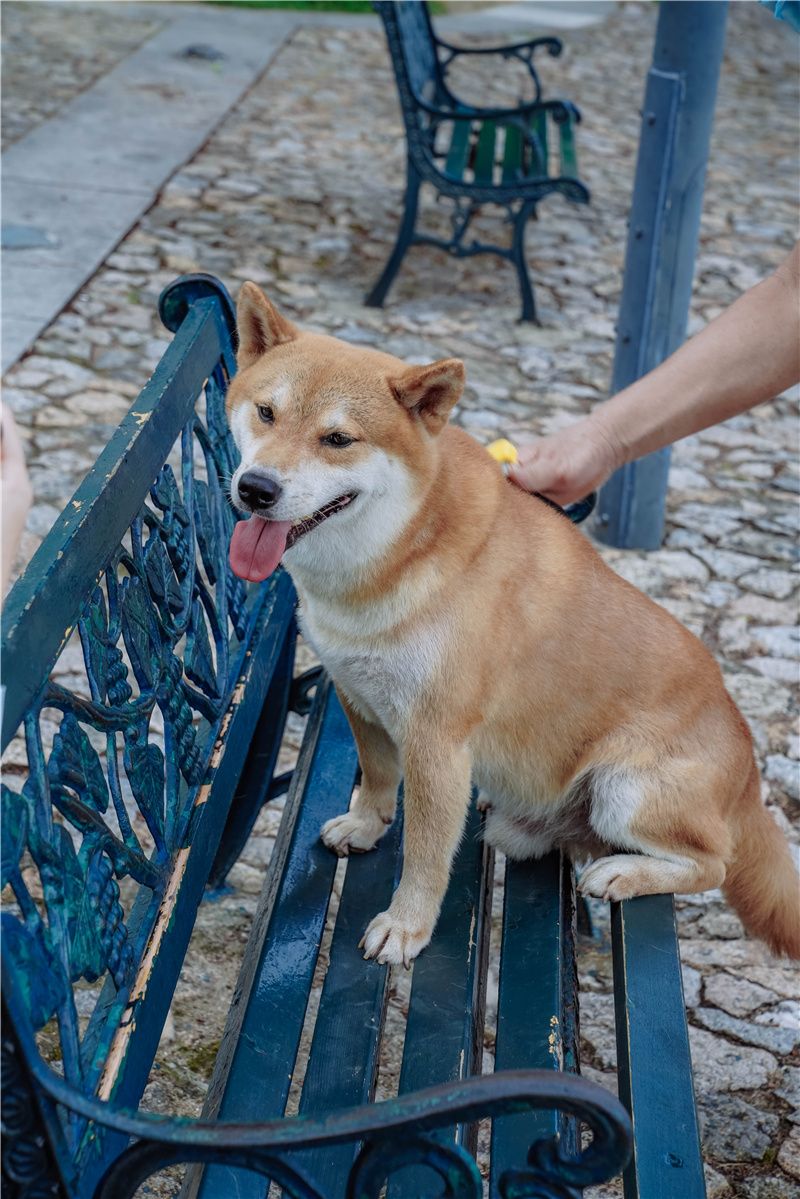 澳门最有名的景点大三巴,澳门必去景点之大三巴网红打卡地