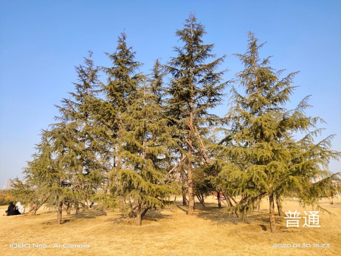 iqooneo855打王者有哪些功能,iqooneo855和竞速版的区别在哪