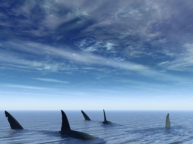 中国一小伙被困海上133天，靠吃生鱼片存活，被困记录63年后打破