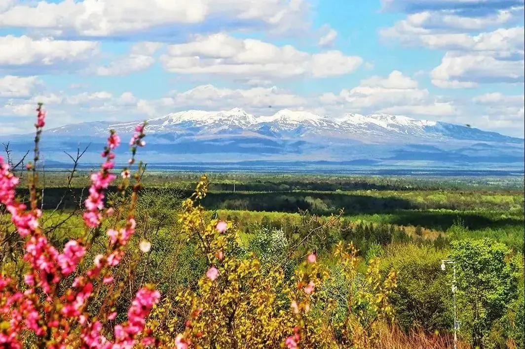五一旅游如何去长白山,白山市4天旅游攻略