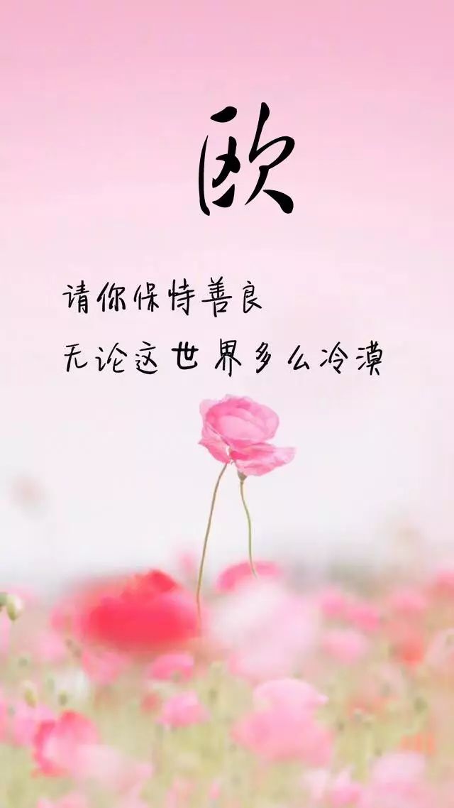 珠宝翡翠艺术字体,翡翠字体图片欣赏