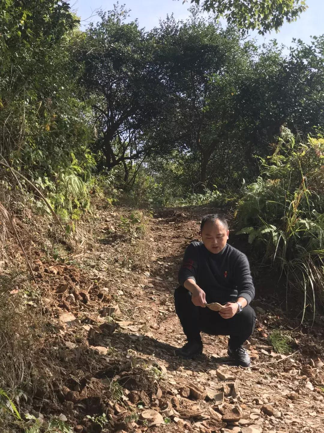 陶瓷艺术新星!深圳文博会金奖得主杨博,面向世界、扎根赣东北