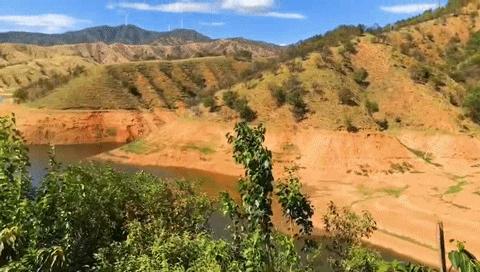 云南突尼斯软籽石榴爆汁不吐籽,甘甜爆汁突尼斯软籽石榴