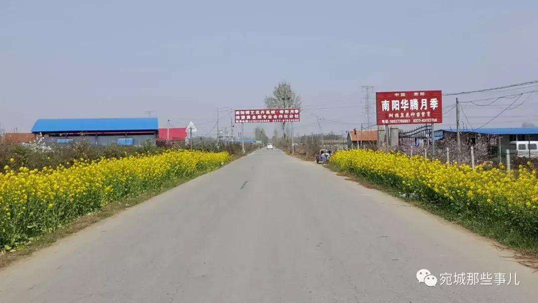 南阳老徐,河南南阳老徐最新视频