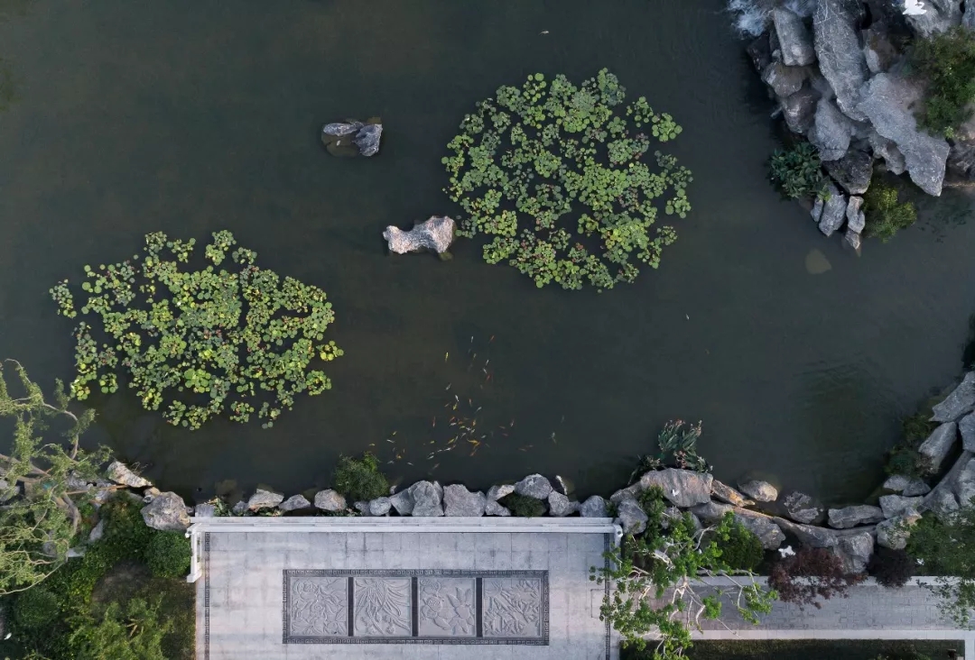 漳州泰禾红树湾院子会不会烂尾,漳州泰禾红树湾院子视频