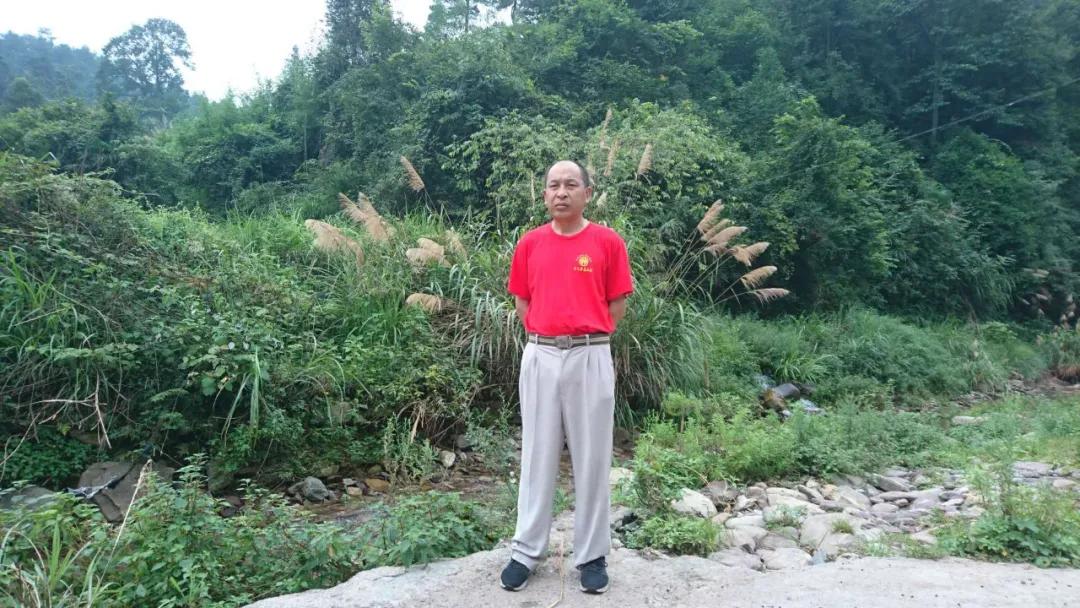 「今日作家」向卫华‖桃花谷(散文)