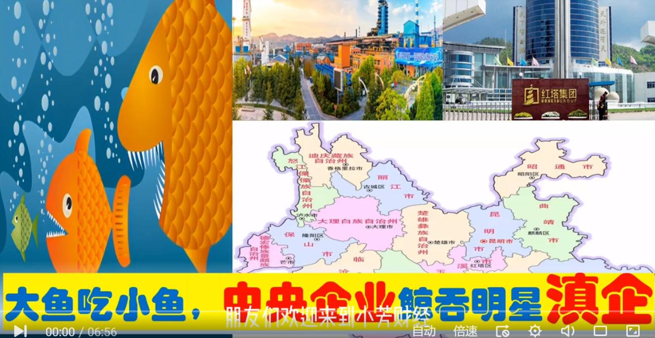 云南中科院院所有哪些,云南中科院简介