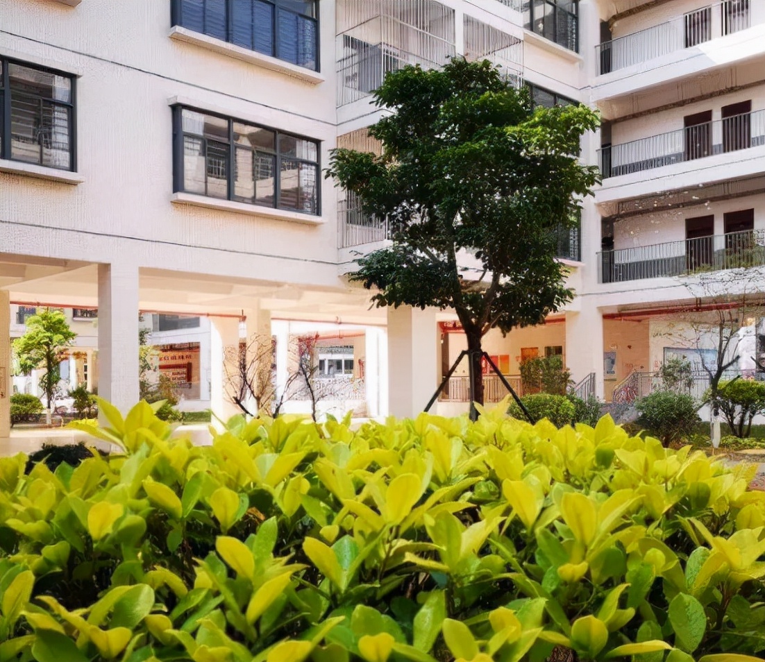 家长对双减政策和课后服务的建议,双减工作与课后延时服务政策解读