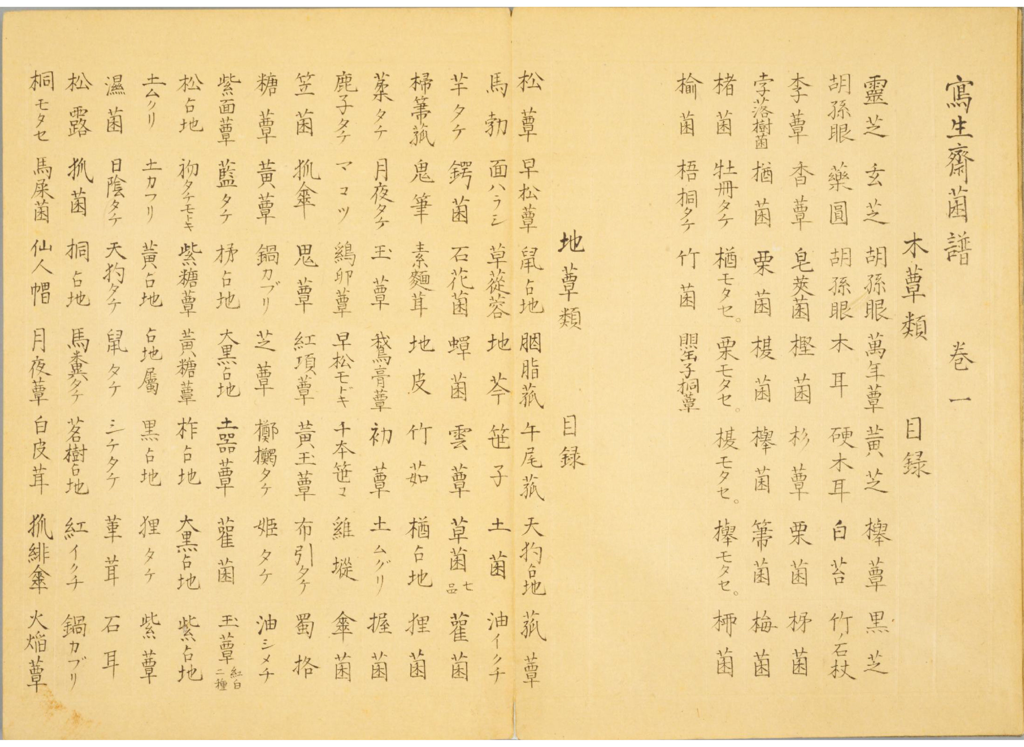 各种多彩菌图片大全,意式野菌图片大全