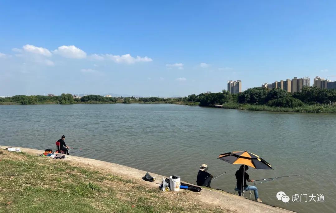 东莞新增过江通道规划,东莞过江通道规划图