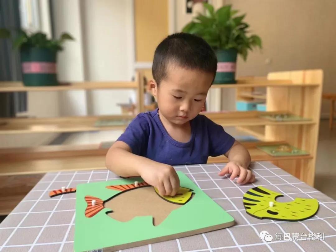 蒙台梭利怎么和儿童沟通,蒙特梭利对孩子犯错怎么批评