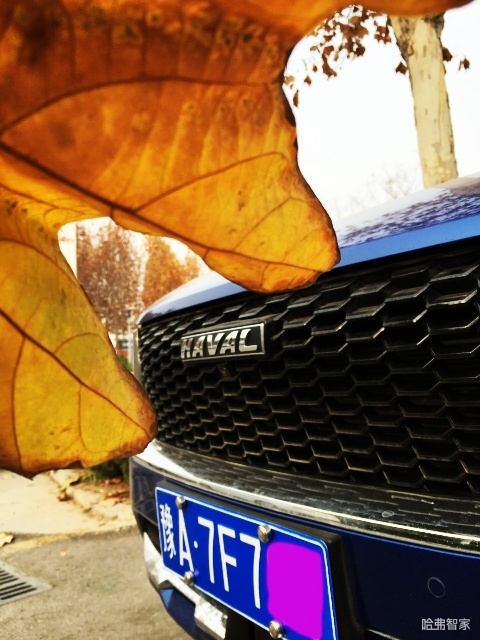 2021款哈弗f7试驾体验1.5t,沉浸式试车哈弗f7
