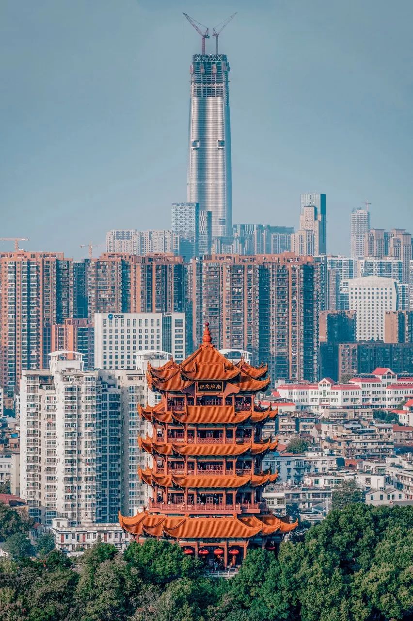 这就是长江,一年四季的长江