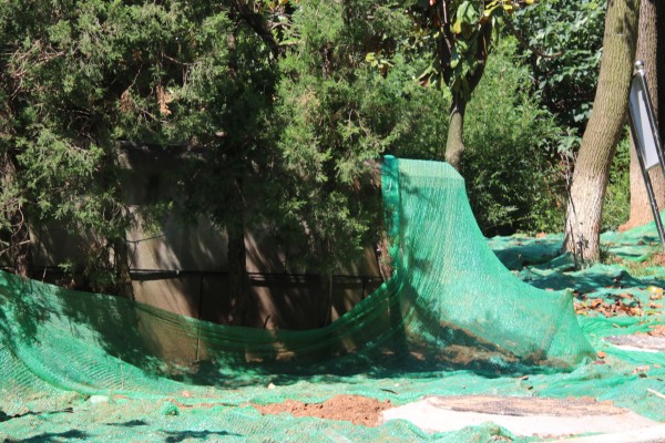 游红山动物园游览顺序,济南野生动物园和南京红山动物园