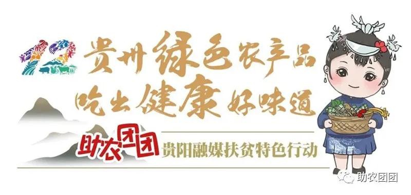 助农团团丨刺梨产业巡礼②：金秋十里沟，硕果满枝头