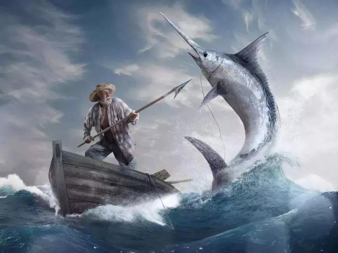 书影音|老人与海