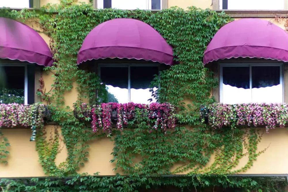 西昌市楠溪客栈民宿,温州楠溪月溪壹号民宿