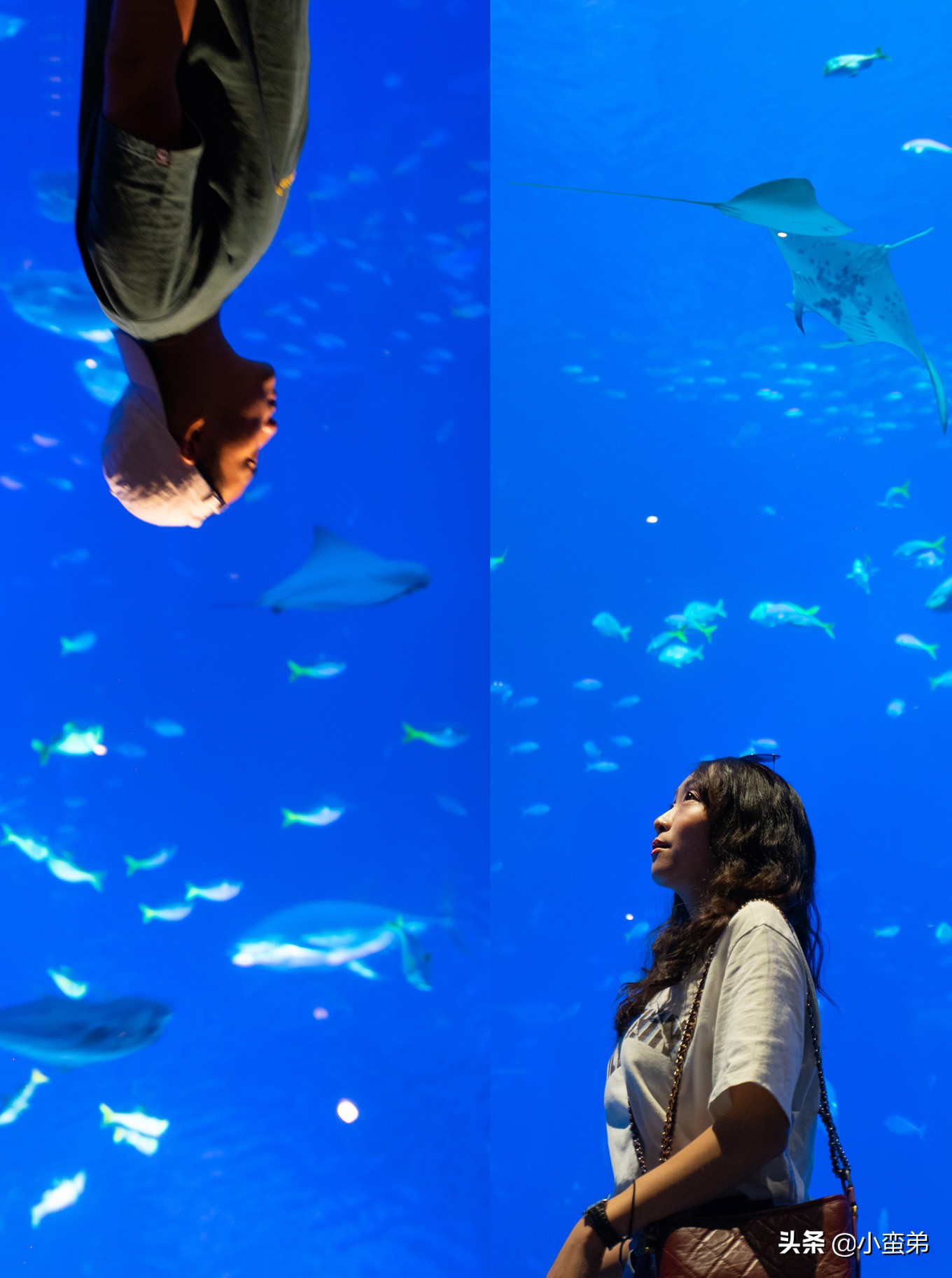 5年之许,小白逆袭重返新加坡