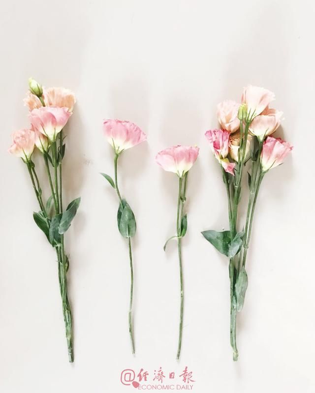 【考研英语】攻克考研英语长难句日常积累20190318