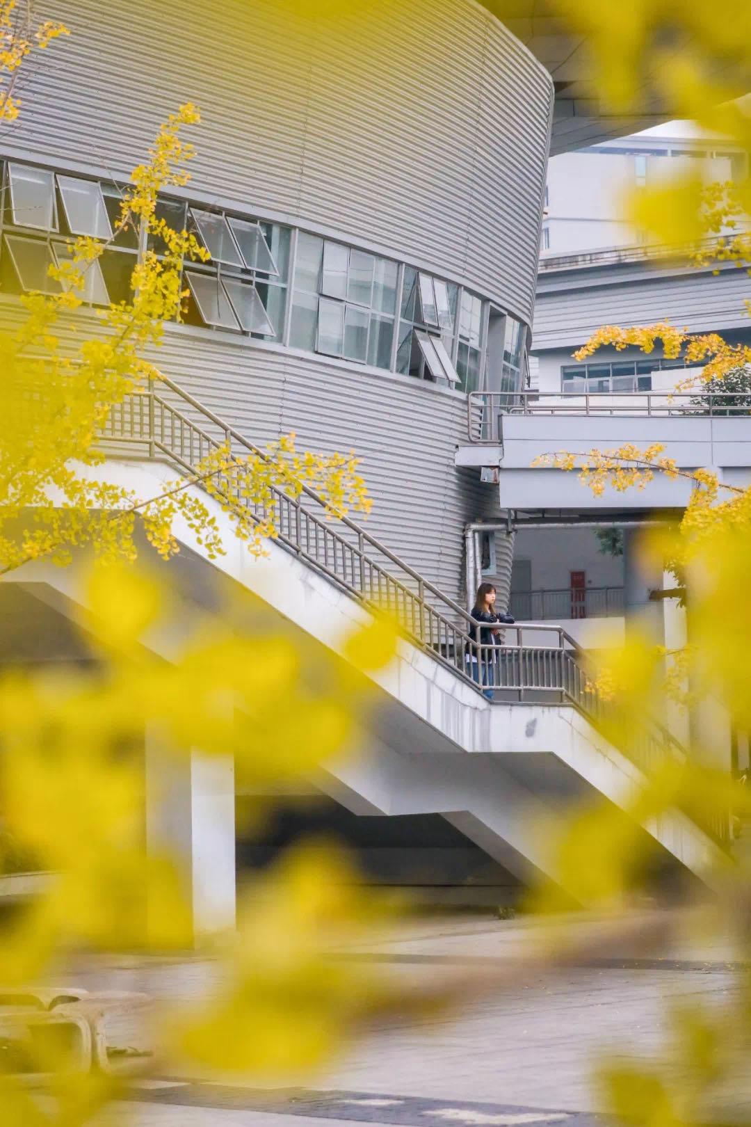 成都租房哪个区最便宜,成都租房攻略50个小技巧