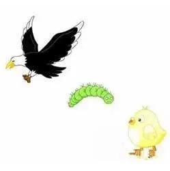 6道成语测试题：大学生只能对4道，赶快来试试