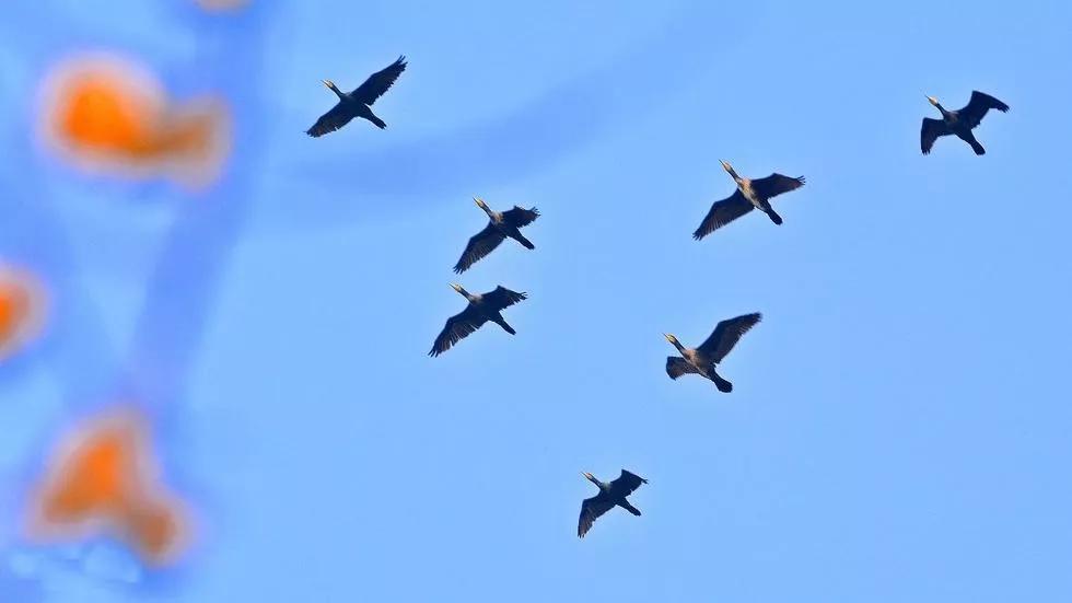 西安绝美打卡地,西安293公里网红打卡地