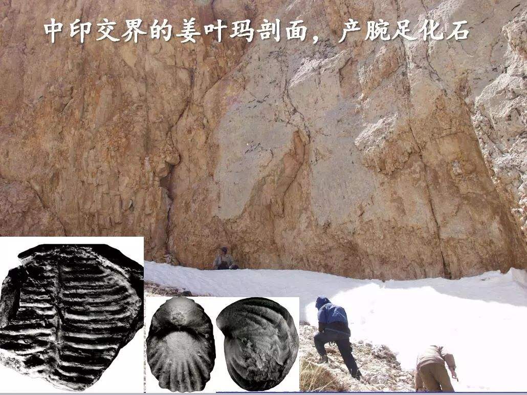 他是我国第一学历最低的院士，高考0分落榜，如今荣获国际最高奖