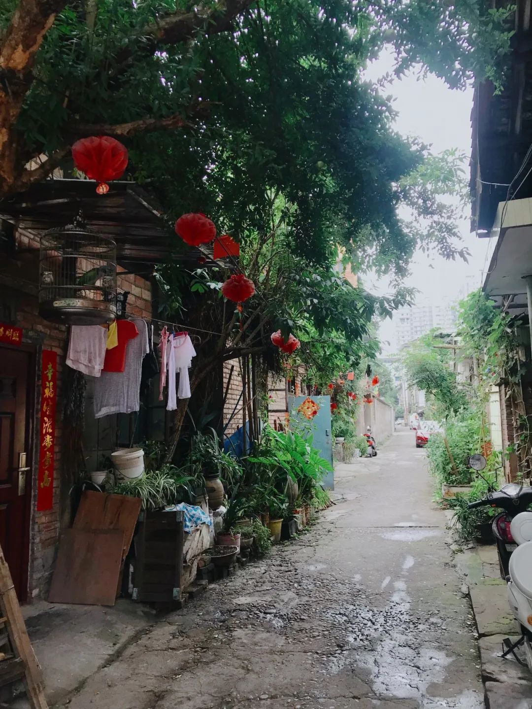 要想身体好常往洪雅跑标语,要想身体好常往洪雅跑文案