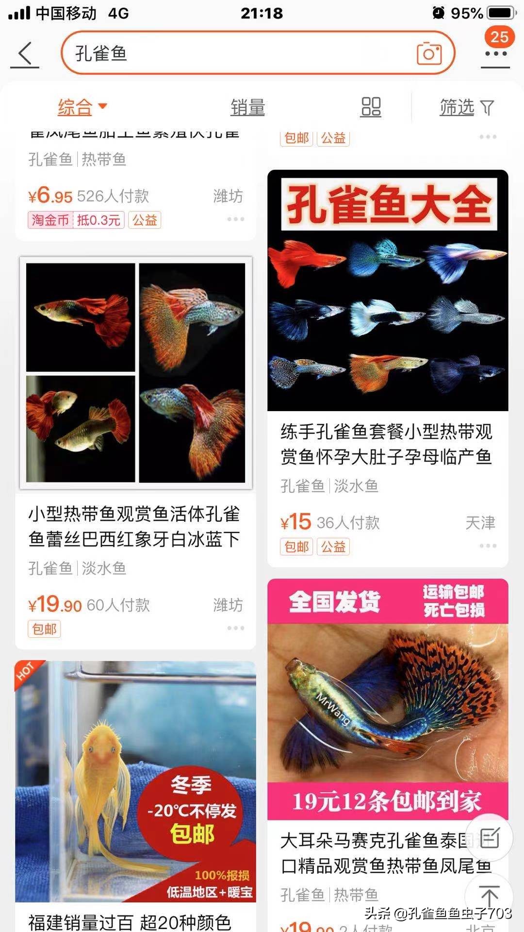 孔雀鱼买回来攻略,孔雀鱼买鱼技巧