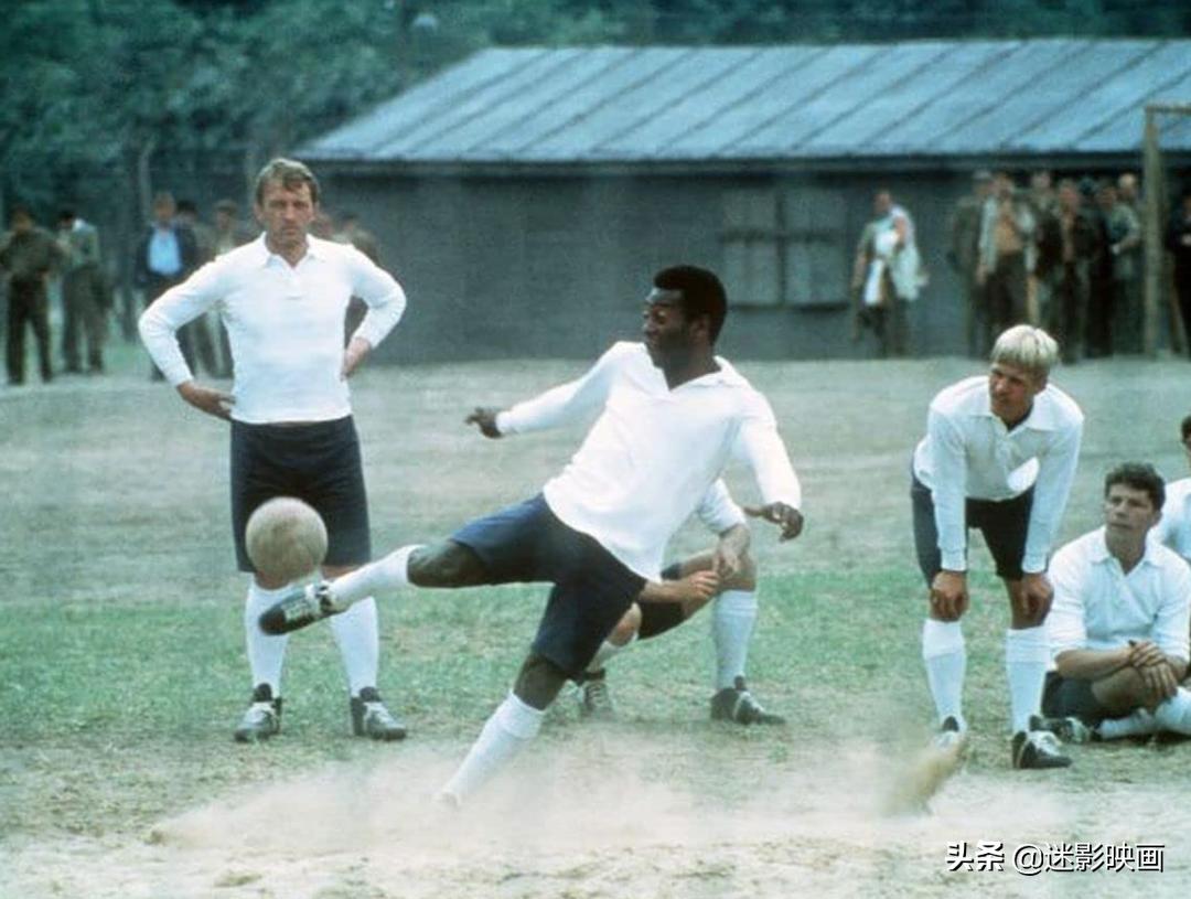 贝利史泰龙主演的电影,贝利和史泰龙合作的电影