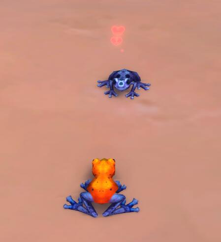 魔兽世界祖阿曼战熊怎么获得,魔兽世界战熊坐骑多少g