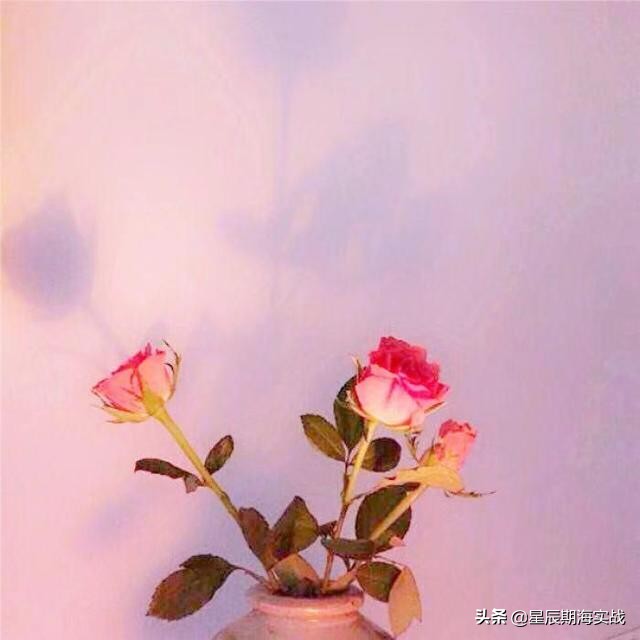 期货黄金分割短线最佳操作方法,期货高手的交易思路独白