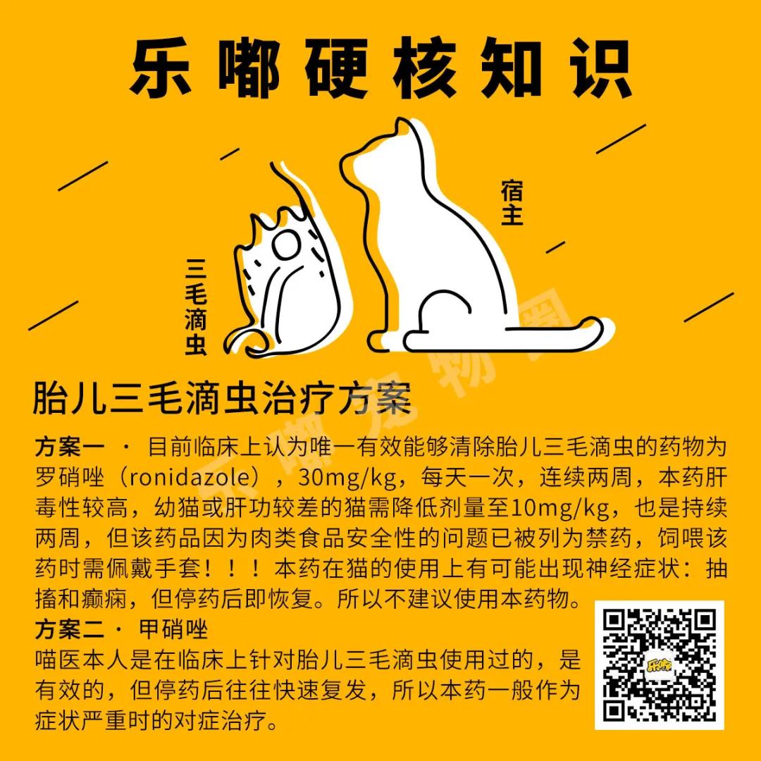 常规驱虫药都不能赶走哪些寄生虫,驱虫注意事项有哪些