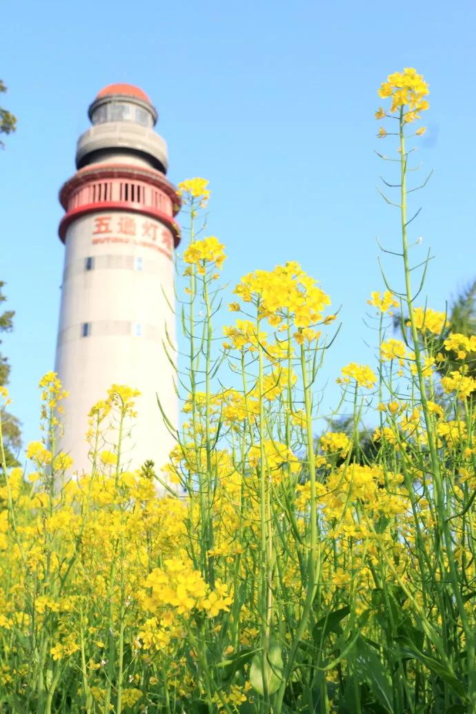 厦门什么地方吹海风吃着美食,厦门必吃海鲜吹海风