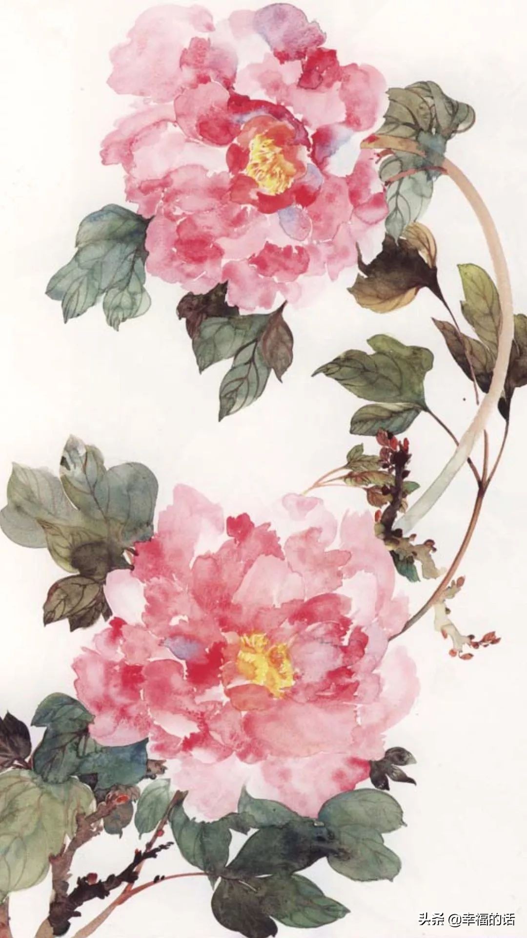 10大名花的美誉,10大名花10大名画配10首诗词