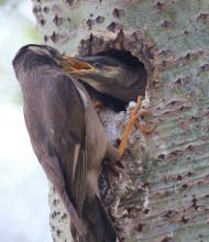 学姐来了请多关照,学妹来了学姐应该怎么办