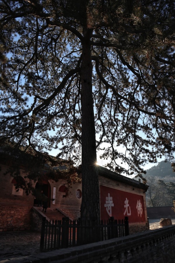 盛唐气度，佛国五台-山西古建筑6日行（3）