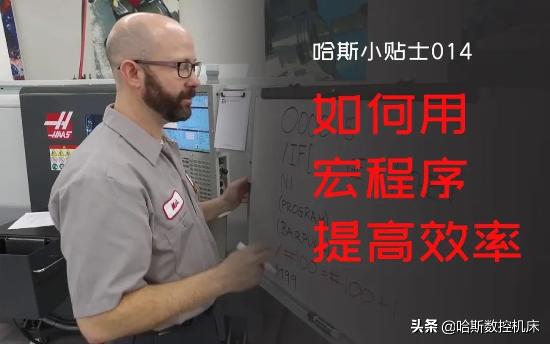 最受欢迎的哈斯,哈斯小贴士