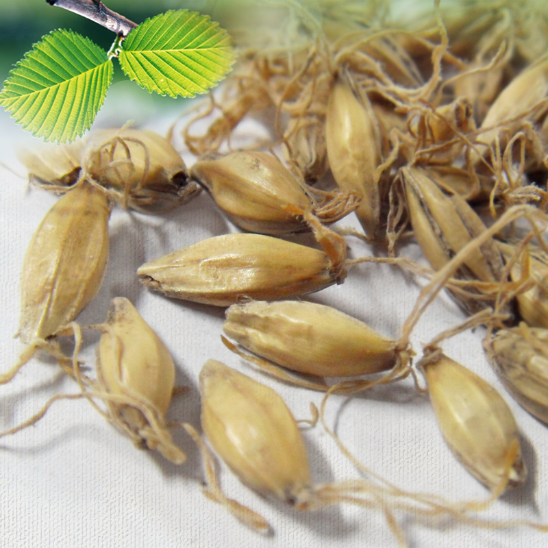 退奶食物三宝:人参、韭菜、麦芽!告别母乳之路这样做