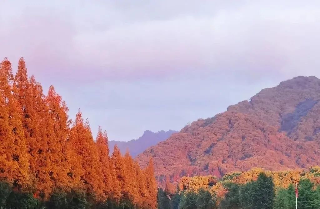 东软，青城山下最大的养老院型综合网吧