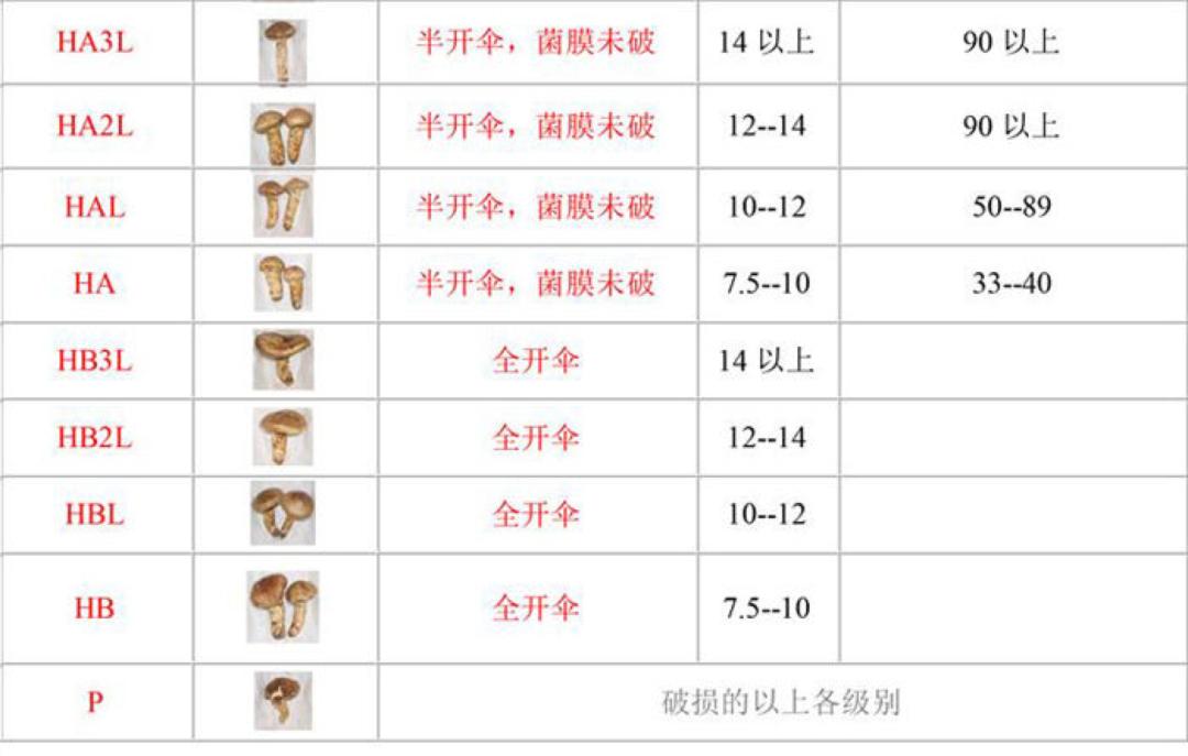 蹇嶄笉浣忔媿缇庨鍙戞湅鍙嬪湀,鍑″皵璧涚編椋熷