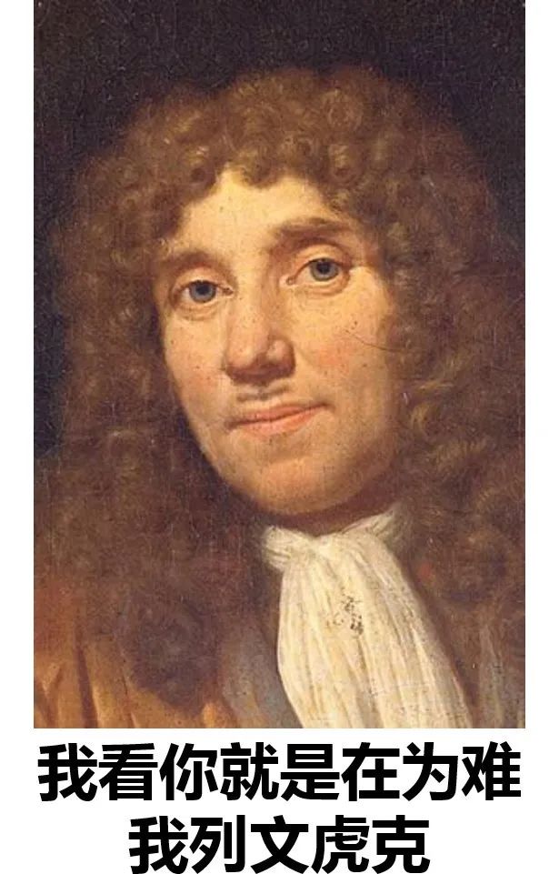 奇怪的知识增加了手指长度,奇怪的知识增加了图片大全